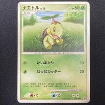 Turtwig 005/DP-P DP Meiji Promo Pokemon Card Japanese ポケモン カード ナエトル 明治 ポケカ プロモ 220127_画像1