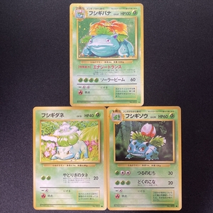 Venusaur Ivysaur Bulbasaur Pokemon Card 003 Base Holo ポケモン カード フシギバナ フシギソウ フシギダネ ポケカ ホロ 旧裏面 210811