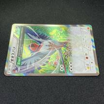 Swellow 058/078 R XY6 Holo Rare Pokemon Card Japanese ポケモン カード オオスバメ ポケカ 220302_画像5
