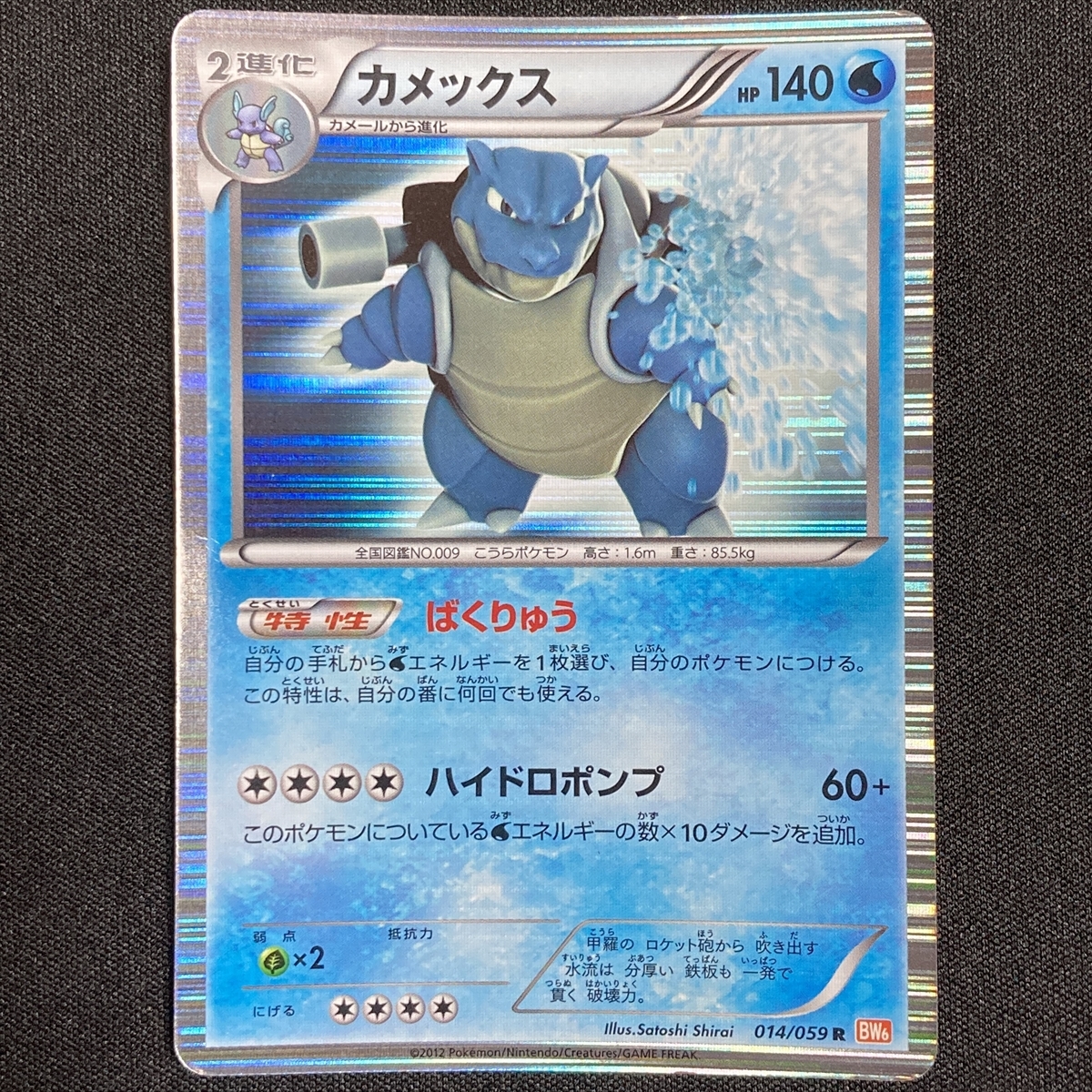 誠実 ポケモン ポケモンカード カメックス シングルカード Www Villanideluca Com