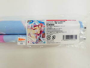 LBK7/[ unopened ] shino bi master Senran Kagura NEW LINK B2 tapestry . shop (WD2021)