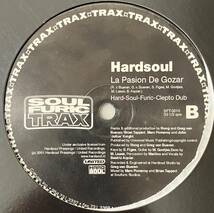 [ 12 / レコード ] Hardsoul / La Pasion De Gozar ( Latin House ) Soulfuric Trax ラテン ハウス_画像3