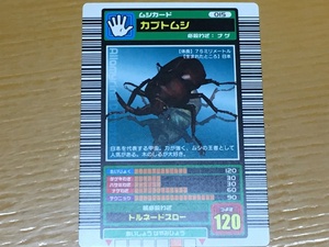 ムシキング Rカブトムシの値段と価格推移は 21件の売買情報を集計したムシキング Rカブトムシの価格や価値の推移データを公開 ムシキング Rカブトムシの値段と価格推移は 21件の売買情報を集計したムシキング Rカブトムシの価格や価値の推移データを公開