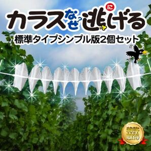 カラス対策 忌避 カラス撃退！カラスなぜ逃げる標準タイプ シンプル版 2個セット 