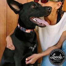 【送料無料】Leeds Dog Supply リーズドッグサプライ Lead リード STELLA　 Lサイズ_画像2