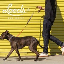 【送料無料】Leeds Dog Supply リーズドッグサプライ Lead リード STELLA　 Mサイズ_画像5