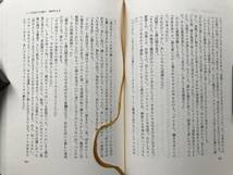 『遠い太鼓』村上春樹 写真村上陽子 装幀平野甲賀 講談社 1990年刊 ※初版本 小説家・翻訳家 ギリシャ・イタリア・ローマ・旅行記 他 07396_画像7