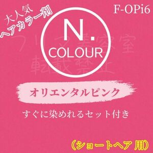 エヌドット　すぐに使えるヘアカラーセット（S）　F-OPi6