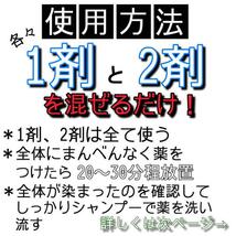 エヌドット　すぐに染めれるダブルカラーセット　カーキアッシュ　ブリーチ剤　ロング用_画像3