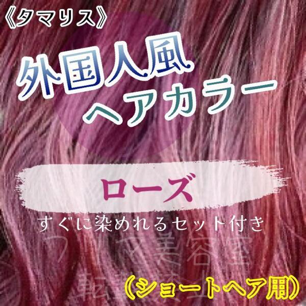 タマリス すぐに染めれる　ヘアカラー　セット rose 12 トリートメント付属割あり