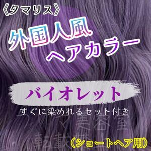 tama squirrel immediately dyeing .. hair color set violet 12 treatment attached break up equipped 