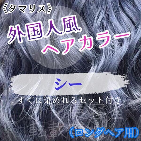 タマリス すぐに染めれるセット sea 10 トリートメント付属割あり　ヘアカラー　ロング用