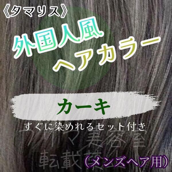タマリス すぐに染めれるセット khaki 10 トリートメント付属割あり ヘアカラー メンズ用
