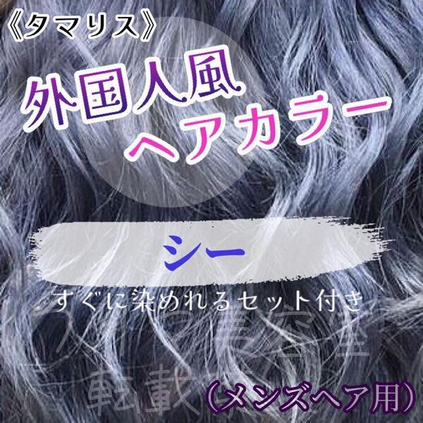 タマリス すぐに染めれるセット sea 10 トリートメント付属割あり ヘアカラー メンズ用