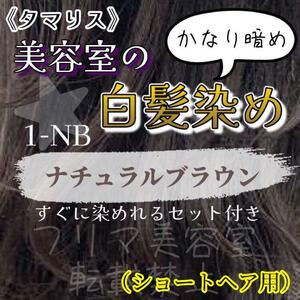 タマリス　すぐに染めれる白髪染めセットS ナチュラルブラウン1 （かなり暗め）グレイカラー　ショート用　黒染めNO1