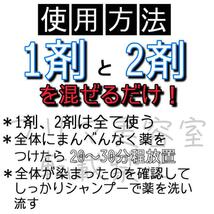 タマリス　すぐに染めれる白髪染めセットL ナチュラルブラウン4 （少し暗め）　グレイカラー　ロングヘア用　自然な黒染め_画像3