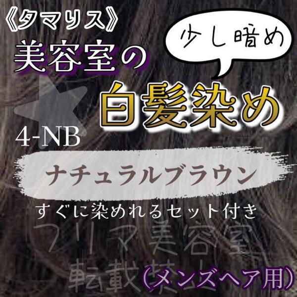 タマリス　すぐに染めれる白髪染めセットM ナチュラルブラウン4 （少し暗め）　グレイカラー　メンズ用　自然な黒染め