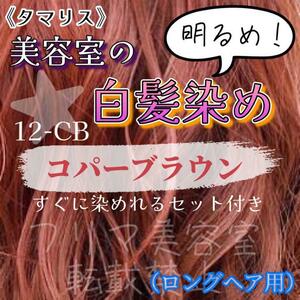 タマリス　すぐに染めれる白髪染めセットL コパーブラウン12（明るめ）　グレイカラー　ロング用