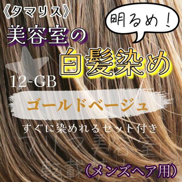 タマリス　すぐに染めれる白髪染めセットM ゴールドベージュ12 （明るめ）　グレイカラー　メンズ用