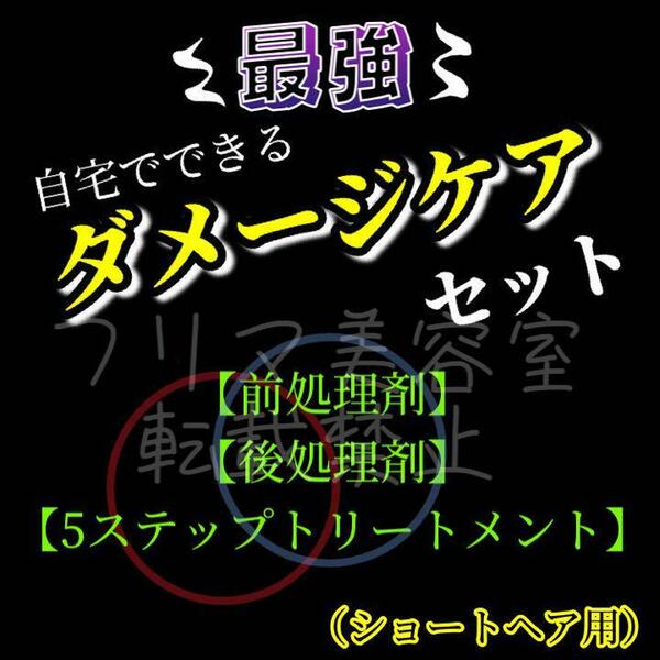 ヘアケアセット 前処理 後処理 5段階トリートメント＋ホームケア　セット割あり コメントいただければ新たに商品ページを作成致します！！