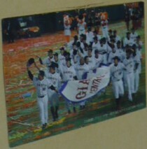 2009カルビープロ野球チップスカード第1弾C(チェックリスト)2CS優勝!グラウンドを一周する巨人読売ジャイアンツナイン ベースボールトレカ