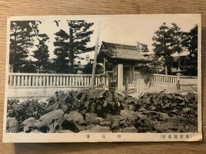 PP-5932 ■送料無料■ 愛知県 名古屋市 妙行寺 子供 瓦 神社 寺 宗教 畑 風景 景色 人 絵葉書 写真 古写真/くNAら