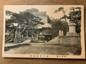 PP-6134 ■送料無料■ 千葉県 房州小湊 誕生寺祖師堂 銅像 建物 建築物 神社 寺 宗教 絵葉書 写真 古写真/くNAら