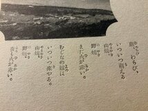 PP-6162 ■送料無料■ 神奈川県 相州 箱根 箱根童謠 童謡 北原白秋 蕨 わらび 詩 歌 風景 景色 絵葉書 写真 古写真/くNAら_画像4