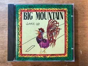 DD-7488 ■送料無料■ BIG MOUNTAIN WAKE UP ビッグマウンテン レゲエ ホアキン マイケル ポール リチャード CD 音楽 MUSIC /くKOら