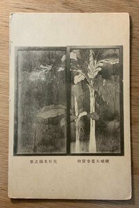 PP-5977 ■送料無料■ 京都府 嵯峨大覺寺寳物 宝物 尾形光琳の筆 神社 寺 宗教 江戸 画家 絵 絵画 美術品 絵葉書 写真 古写真/くNAら