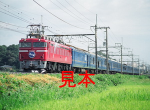 鉄道写真、645ネガデータ、157778000008、EF81-81＋北斗星、JR東北本線、蓮田〜東大宮、2009.08.24、（4591×3362）