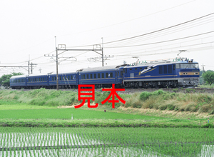 鉄道写真、645ネガデータ、159854680002、EF510-504＋24系（乗務員訓練運転）、JR東北本線、東大宮〜蓮田、2010.06.09、（4591×3362）