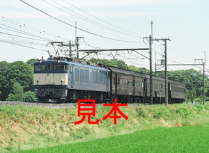 鉄道写真、645ネガデータ、159854680009、EF64-38＋旧客（返却回送）、JR東北本線、蓮田〜東大宮、2010.06.15、（4232×3099）