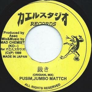  ジャパレゲ初期名曲 PUSHIM & JUMBO MATTCH「裁き」TOKIWA RYO the skywalker FIRE BALL