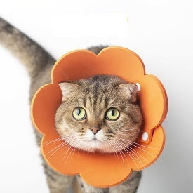 Лот аукциона Yahoo 送料無料 Mサイズ エリザベスカラー オレンジ 花 ペット 猫 No.844 C.