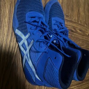 ASICS Men's Matcontrol 2 Wrestling Shoes Blue/White US11 28cm