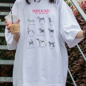 GLOSTER DOG&CAT 犬猫オーバーサイズTシャツ 半袖 新品 L