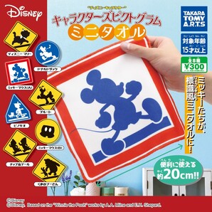 ディズニーキャラクターズ ピクトグラムミニタオル