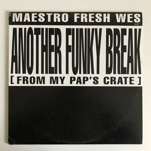 Maestro Fresh-Wes - Another Funky Break (From My Pap's Crate) (Promo)