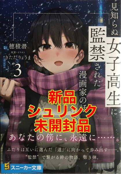 見知らぬ女子高生に監禁された漫画家の話 ３