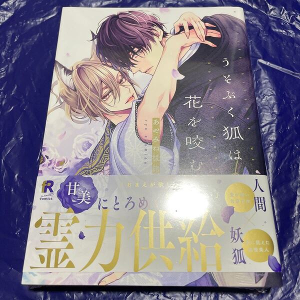 うそぶく狐は花を咬む あやみね稜緒