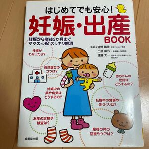 はじめてでも安心！妊娠・出産ＢＯＯＫ　妊娠から産後３か月までママの心配スッキリ解消 浦野晴美／監修　土屋真弓／監修　遠藤大一／監修