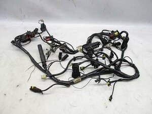  Ducati ST4*ZDMS200AAYB004* main harness *04G11 GG