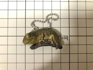  chameleon mascot ball chain higekono is chameleon figure goods 