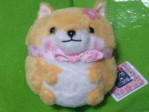  legume .. three siblings .. rin gimik Sakura electric soft toy 14cm