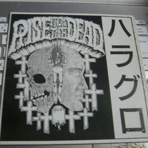 RISE FROM THE DEAD ライズ・フロム・ザ・デッド R.F.D. / ハラグロ ソノシート S.O.B. OUTO CROW チキンバウエルズ Brutus K.G.G.M GUDONの画像1