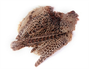  high quality!!hemf. The nto_ Complete [ natural ] fly material female *kiji. Complete * body ( tail attaching ).! wool hook 