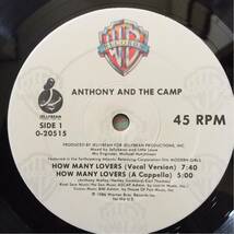 12' Anthony And The Camp-How Many Lovers_画像2