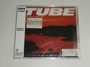 新品未開封CD TUBE『風に揺れるTomorrow』AICL-1384