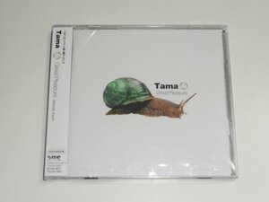 未開封CD Tama『Great Pleasure (初回生産限定盤)(DVD付)』(元ポルノグラフィティのベーシスト) SECL-308 ※シュリンクにヤブレあり